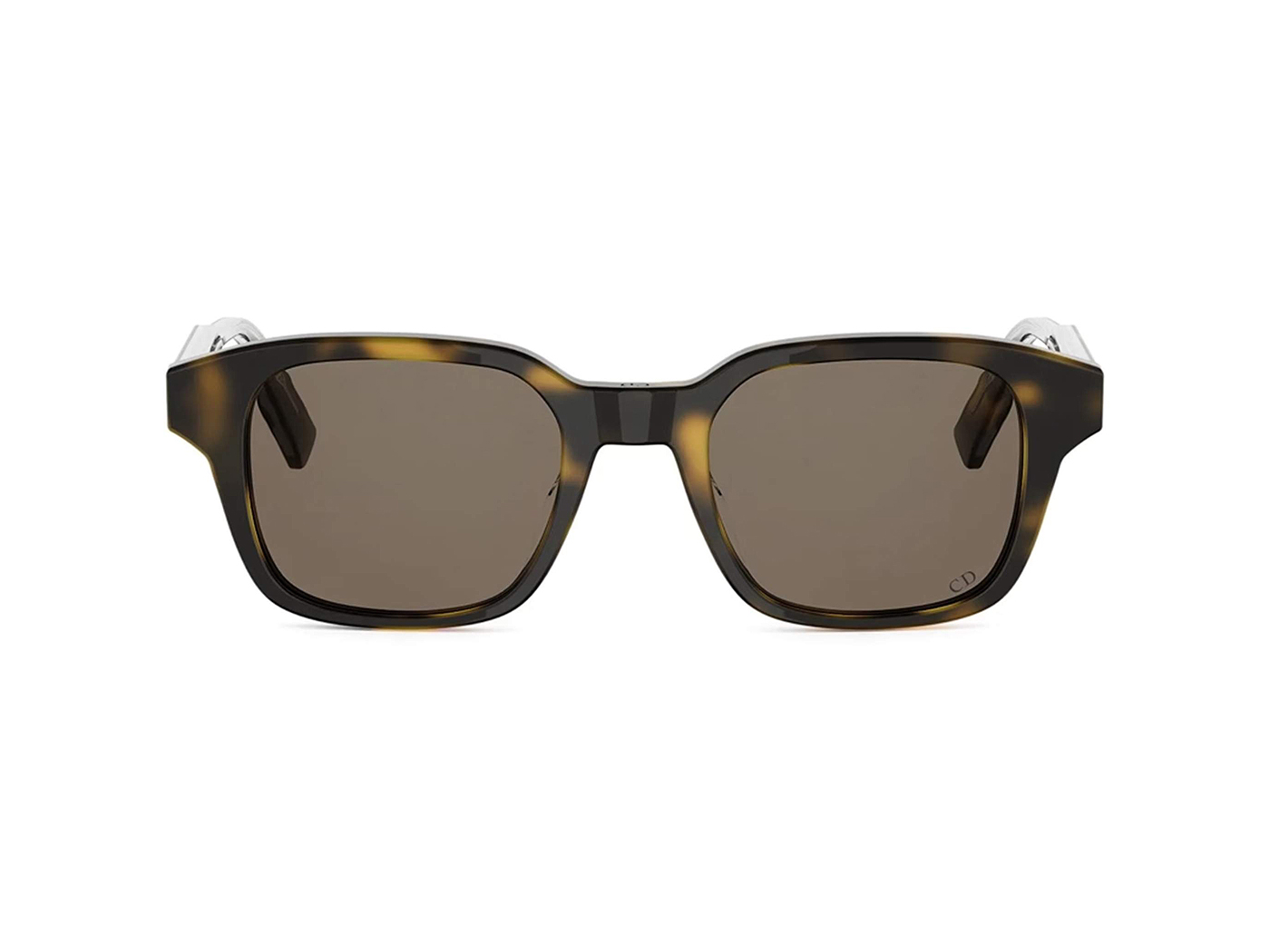 Dior DiorRibbon S1I 20F0